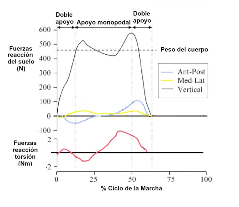 EsquemaFuerzas